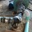 #163-•-pvc-blower-pipe-image-9