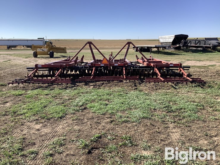 sunflower-1434-26-image-6