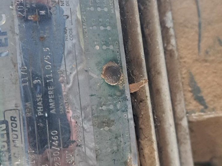 #144-•-3-strand-green-chain-image-10