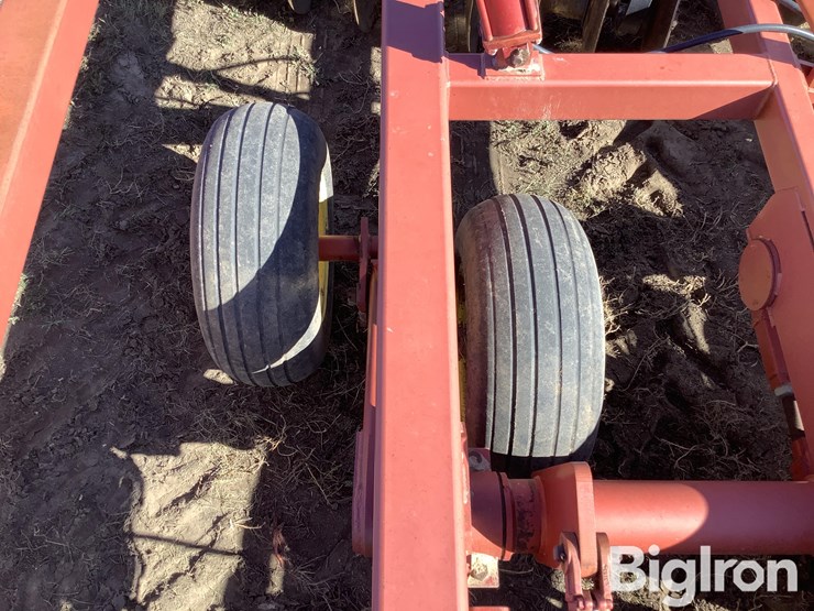 sunflower-1434-26-image-17