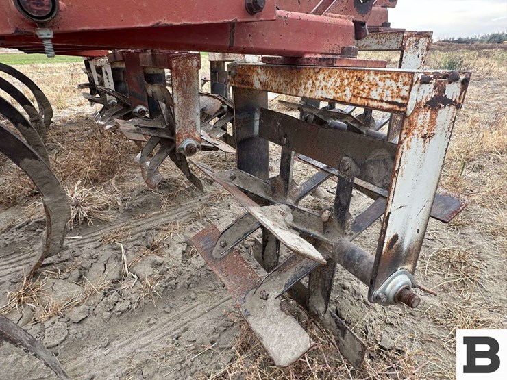 sunflower-4211-24-image-19