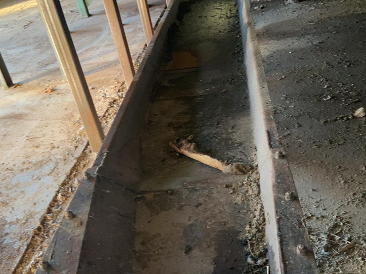 #159-•-mellott-vibrating-conveyor-image-10