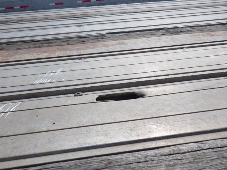 2014-freedom-great-dane-image-14