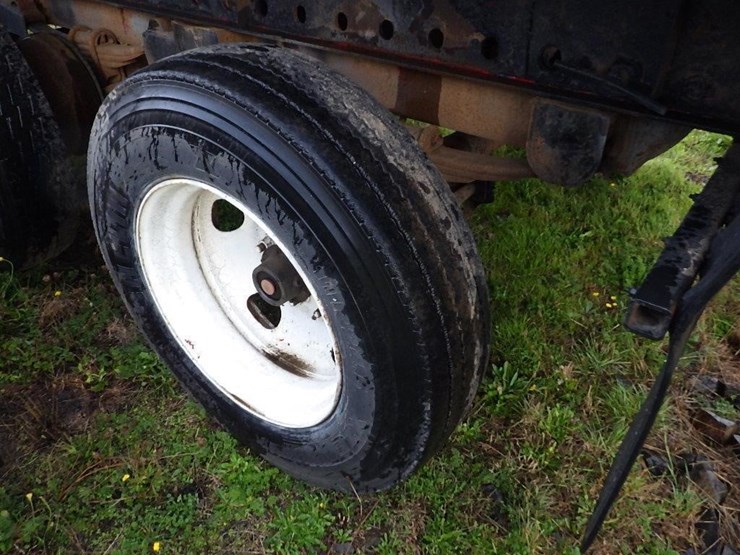 great-dane-48-image-15