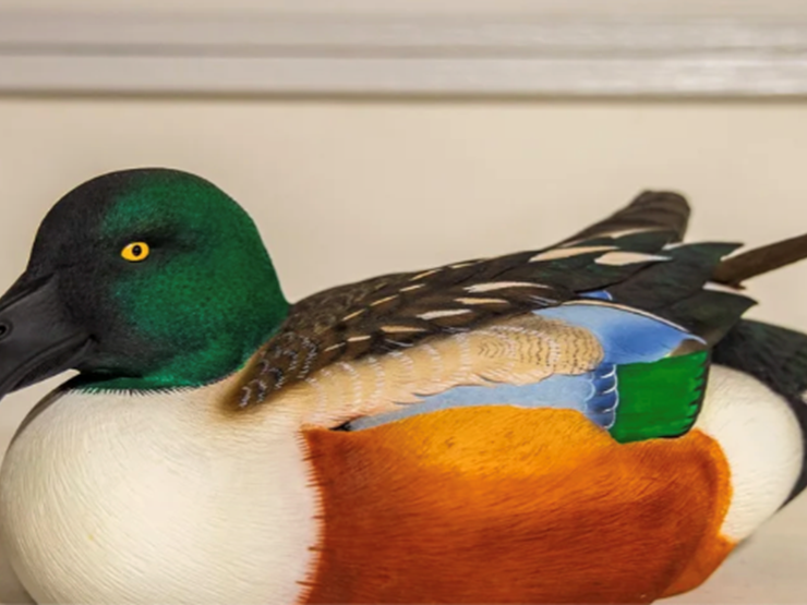 collectibles-&-antiques-gallery-image-5