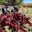 case-ih-183-image-14