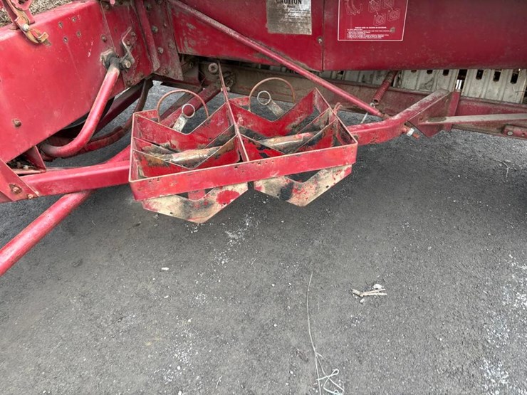 international-445-image-8