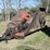 bush-hog-15'-batwing-4137-image-1