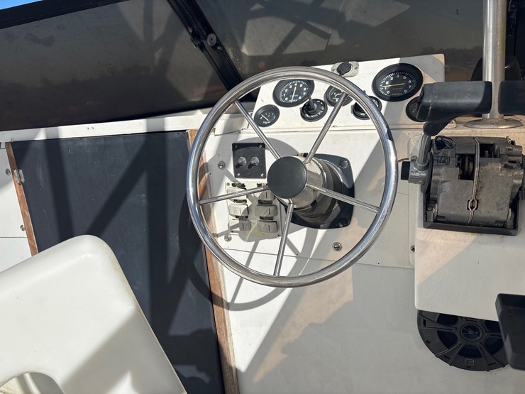 #23446-•-1974-formula-thunderbird-image-8