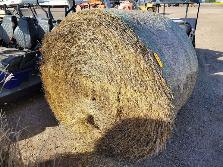 bearded-wheat-hay-1,100±-lb.-bales-image-3