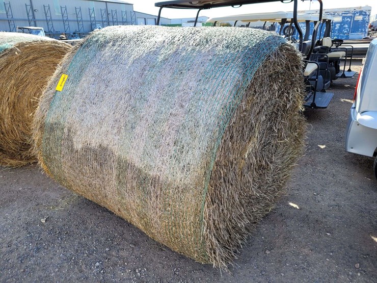 bearded-wheat-hay-1,100±-lb.-bales-image-2