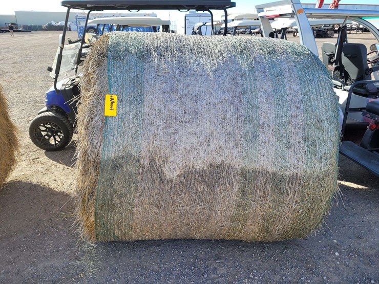 bearded-wheat-hay-1,100±-lb.-bales-image-1