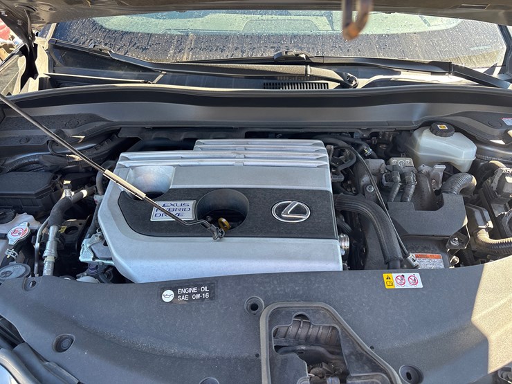 #24567-•-2020-lexus-ux250h-image-12