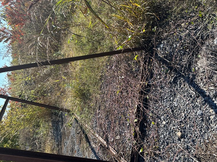 #32817-•-125"-x-10'-x-52"-shop-a-frame-image-5