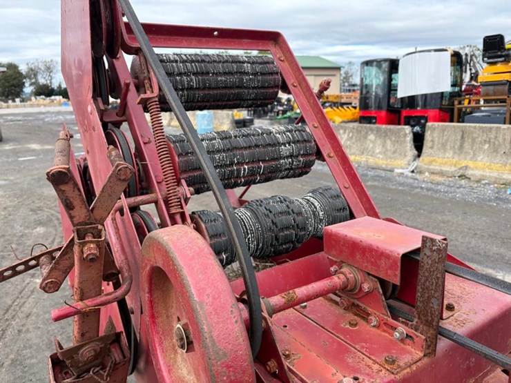 international-445-image-10