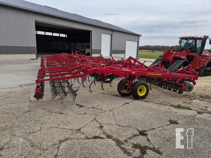 sunflower-6433-40-image-13