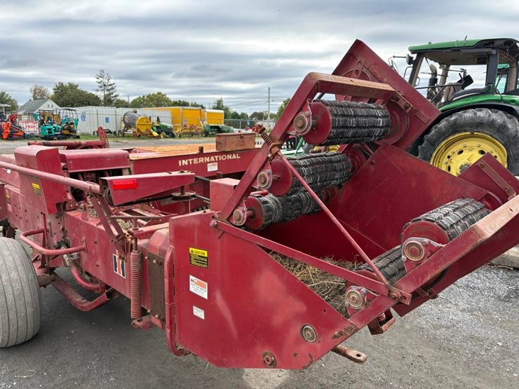 international-445-image-11