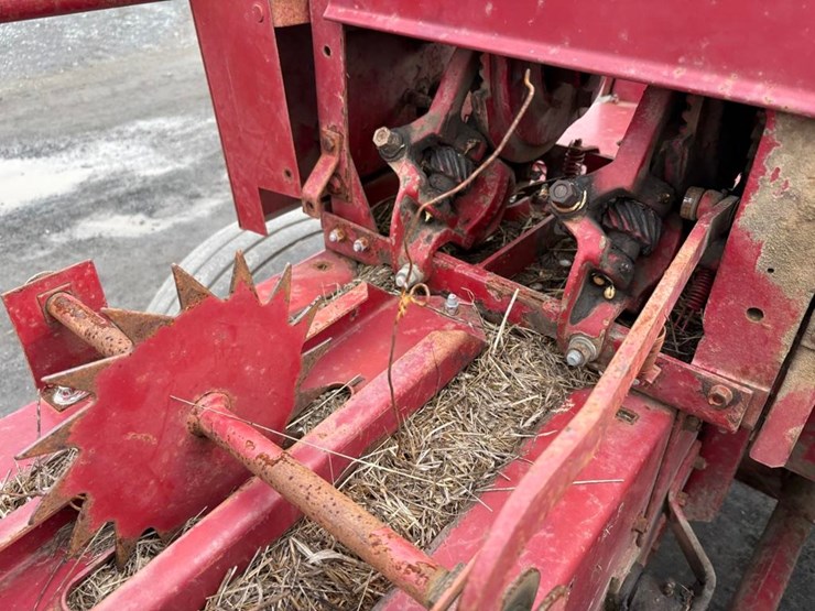 international-445-image-9