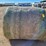 mixed-grass-hay-980±-lb.-bales-image-1