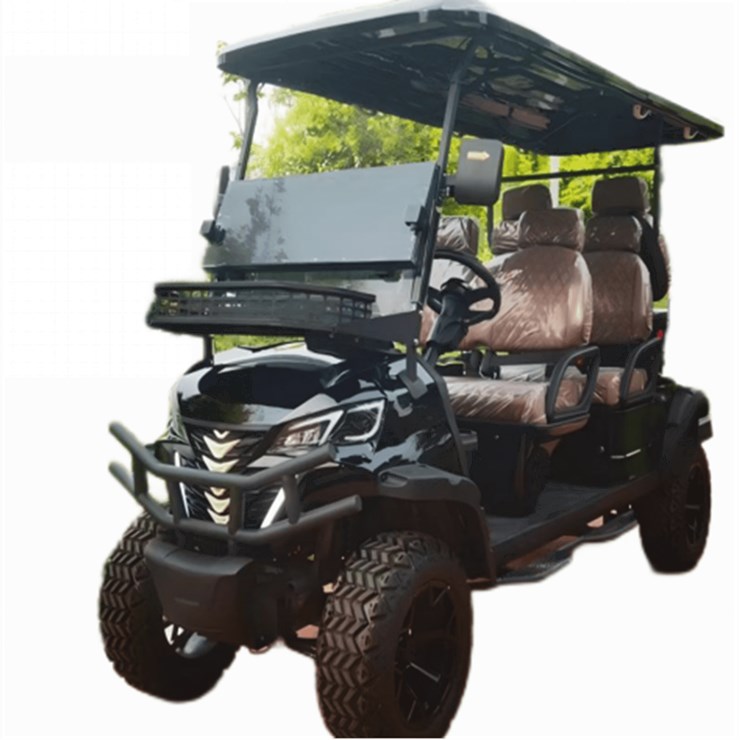 2025 SDLGC100 Golf Cart