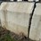 #32725-•-lot-of-(13)-~57"x80"-concrete-culvert-sections-image-11