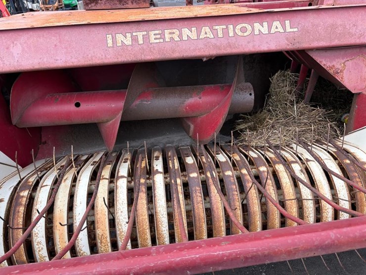 international-445-image-5