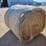 mixed-grass-hay-980±-lb.-bales-image-2