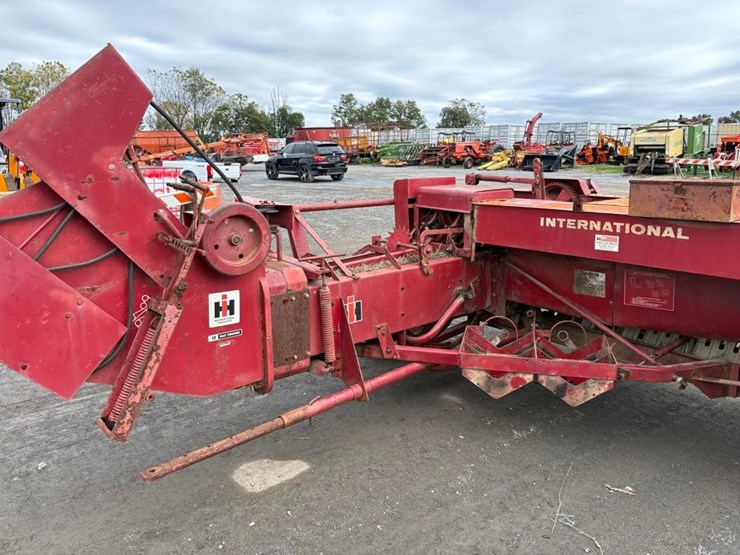 international-445-image-7