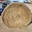 mixed-grass-hay-980±-lb.-bales-image-4