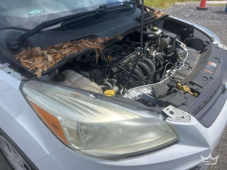 2015-ford-escape-image-8