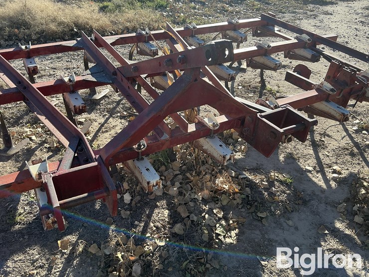 international-13-image-10