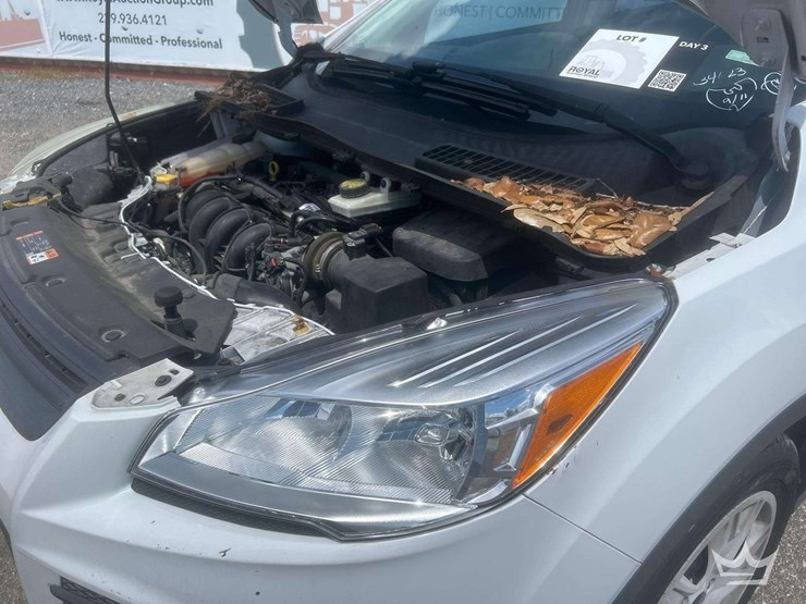 2015-ford-escape-image-9