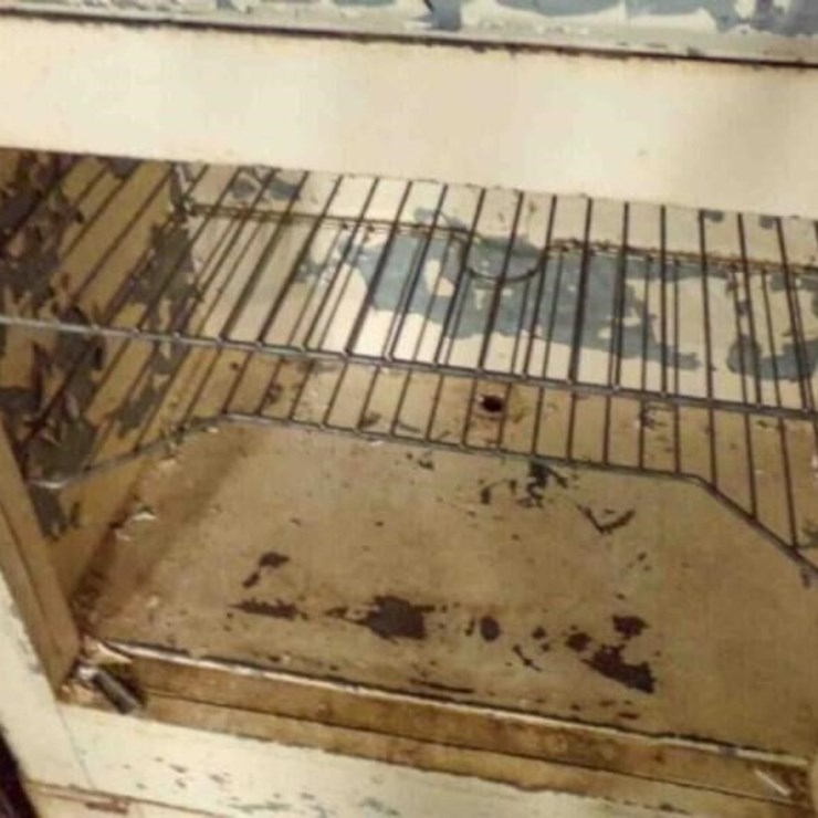 Vintage Ice Box - No Brand Visible