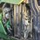john-deere-6r-175-image-42