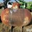 bagwell-general-300-gal-propane-tank-image-2