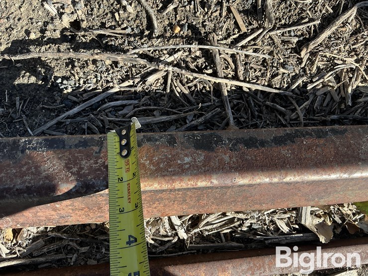 orthman-edible-bean-rod-image-19