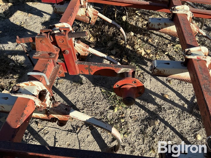 international-13-image-8