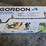 gordon-high-precision-metal-detector-image-1