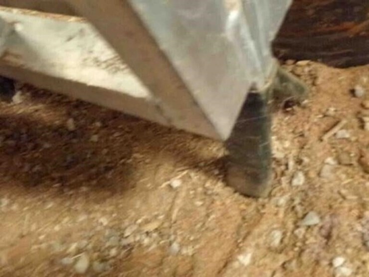 aluminum-folding-ramp-image-3