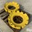 john-deere-205kg/450-lbs-rear-axle-weights-image-3