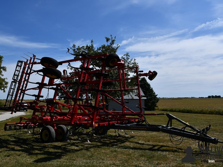 2023-sunflower-5035-32-image-3