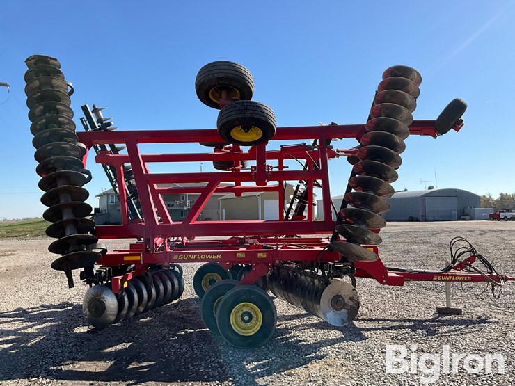 2011-sunflower-1435-image-4