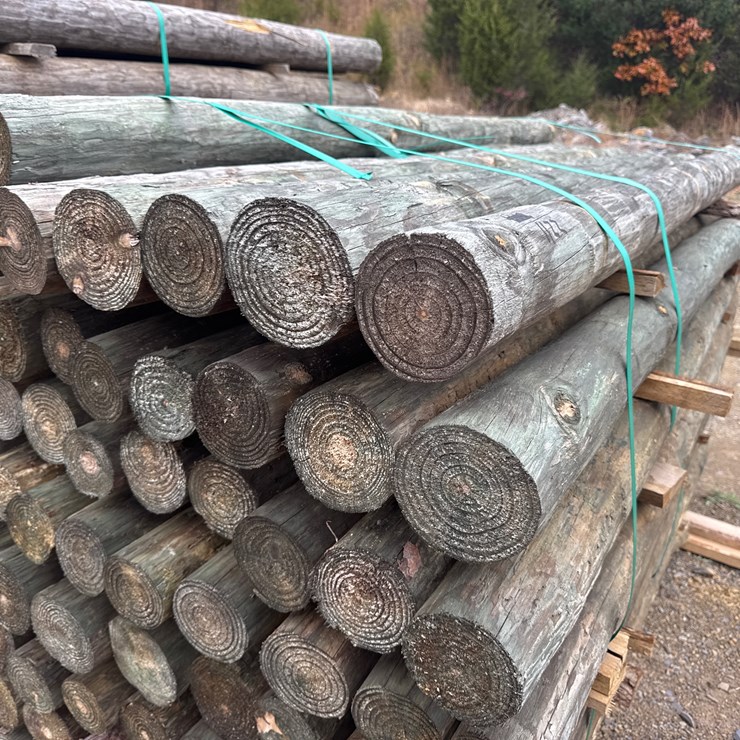 #1122 • 36- 4”x8’ treated post