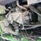 john-deere-gator-image-9