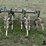 12r30-cultivator-image-18