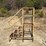 #1127-•-steel-stair-case-image-1