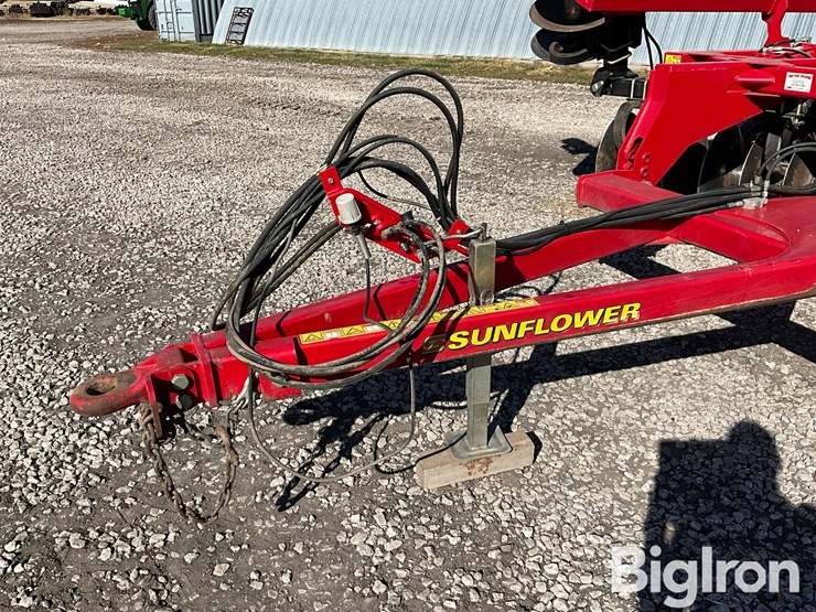 2011-sunflower-1435-image-10