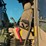 #32824-•-2022-volvo-ec160e-crawler-excavator-w/hydraulic-thumb-image-80