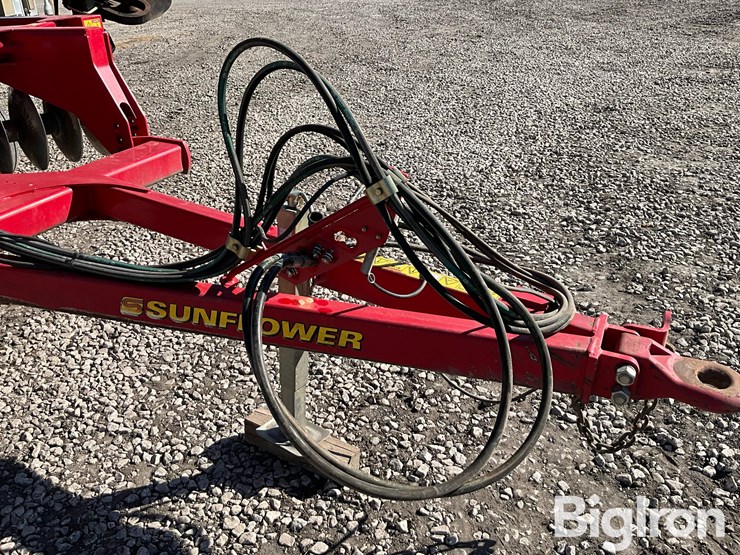 2011-sunflower-1435-image-11