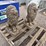 (2)-concrete-lion-statues-image-4